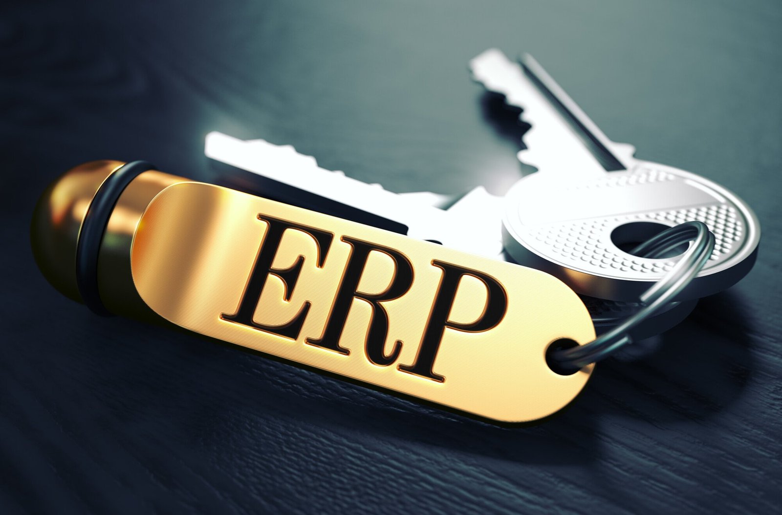 ERP Software