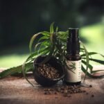 Exploring the Different Uses of CBD Spray for Wellness and Self-Care