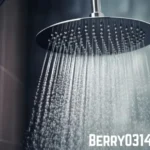 What is Berry0314 Shower? A Step by step Guide