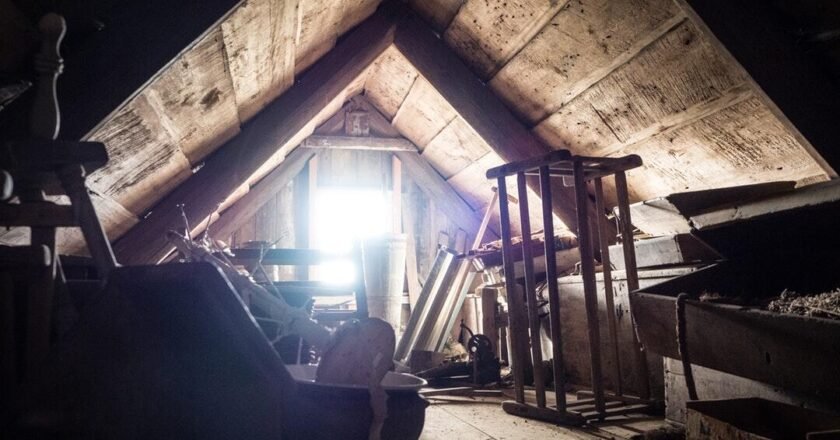 9 Things You Need to Know About Black Mold in the Attic