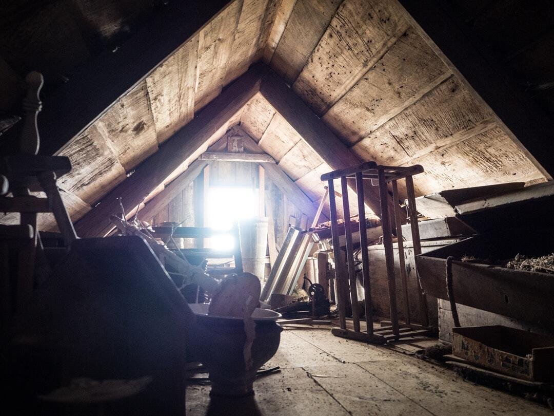 9 Things You Need to Know About Black Mold in the Attic