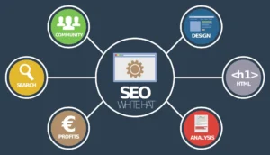 small business seo packages