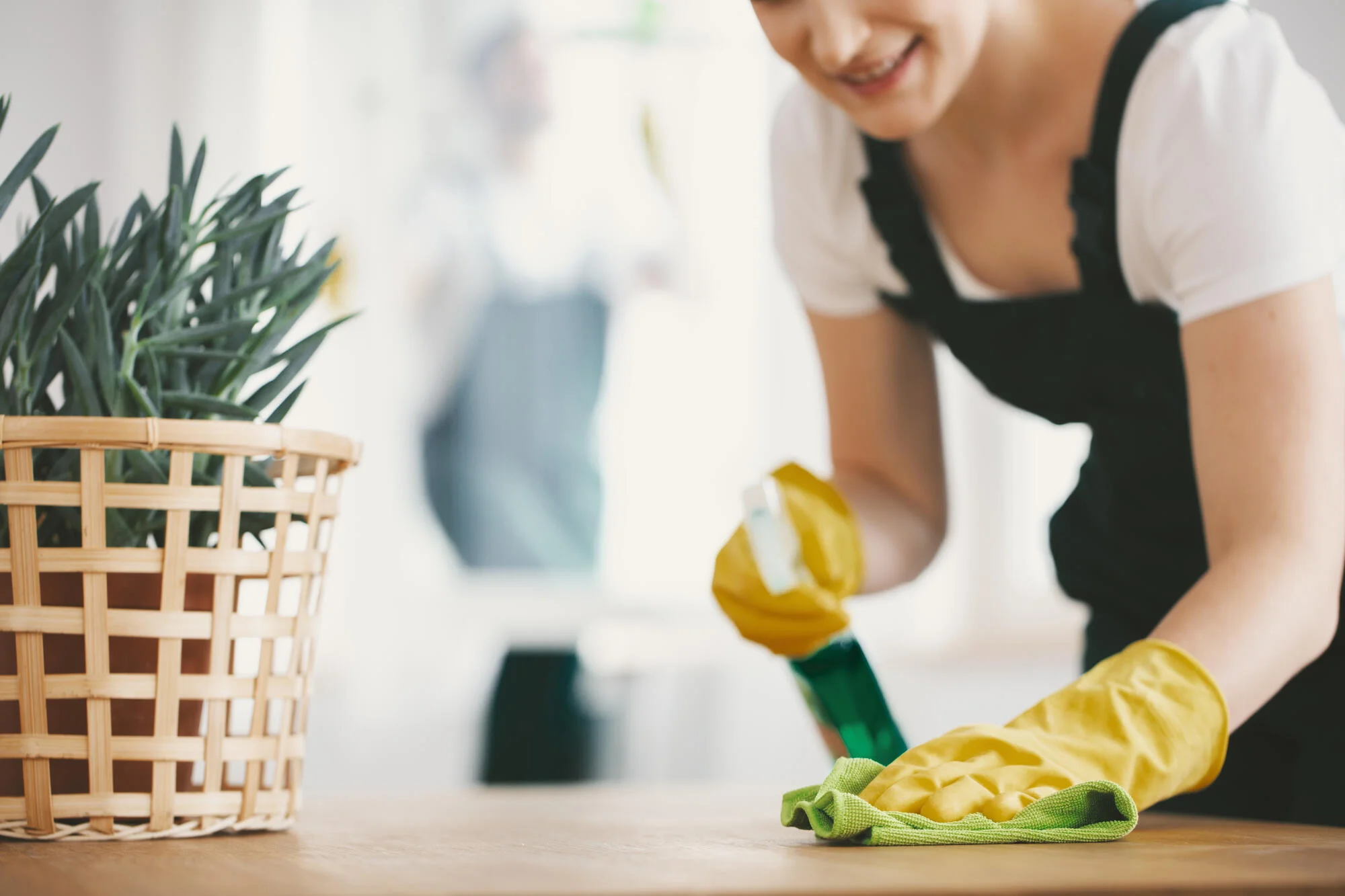 professional cleaner